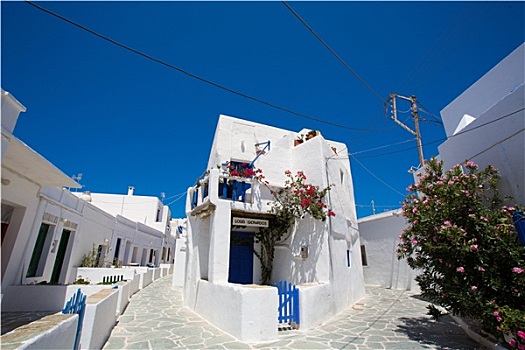 特色,传统,希腊,白色,蓝色,房子