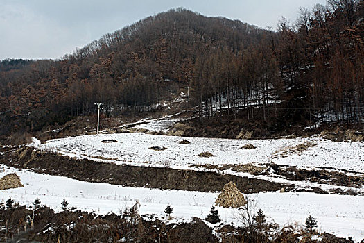 雪野,北方,东北,大雪,原野,土地,冬季,洁白,干净,风景,村庄,农村