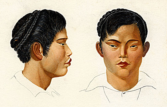 暹罗,男人,泰国,历史,插画,1875年