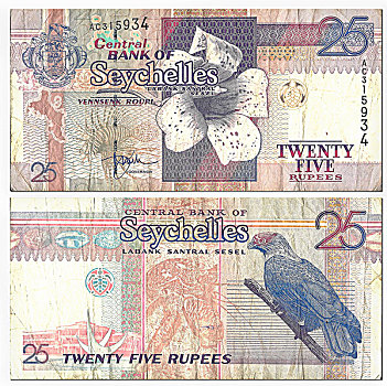 货币,正面,后面,卢比,塞舌尔,中心