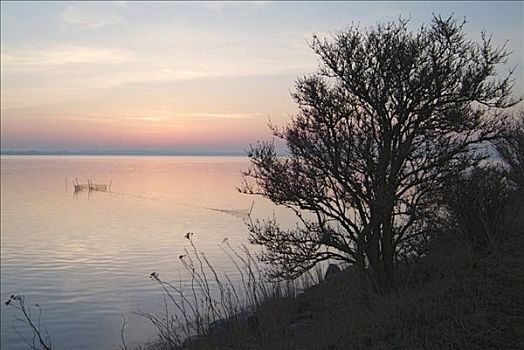 落日,岛屿,波罗的海,丹麦
