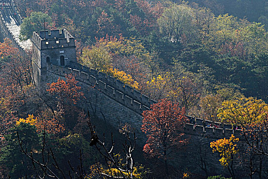墙壁,中国,塔,慕田峪,秋天,彩色,靠近,北京,亚洲