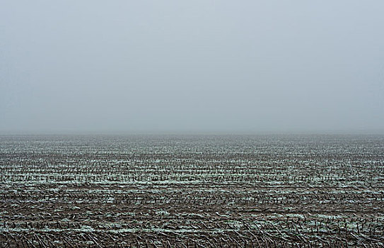 雾,弗里斯兰省