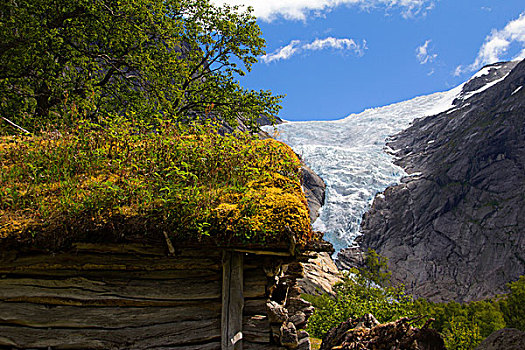 挪威,冰河,草皮,屋顶