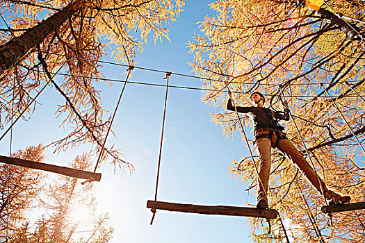 成年,女人,攀登,树林,联结,高,线条,绳索,仰视