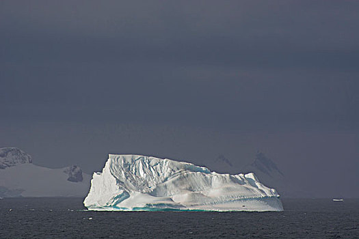 南极,海峡,冰山,休息