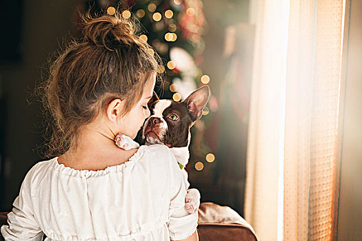后视图,女孩,波士顿犬,正面,圣诞树