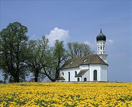安德里亚,教堂,靠近,蒲公英,草地,上巴伐利亚,德国