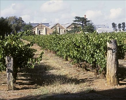 葡萄酒厂,澳大利亚