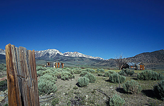 小屋,开采,荒野,风景,内华达山脉,加利福尼亚,北美,美国