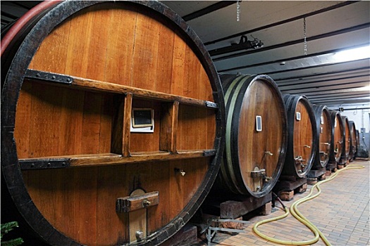 橡树,葡萄酒桶,酒窖