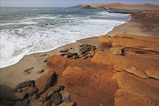 海岸线,帕拉卡斯国家保护区,秘鲁