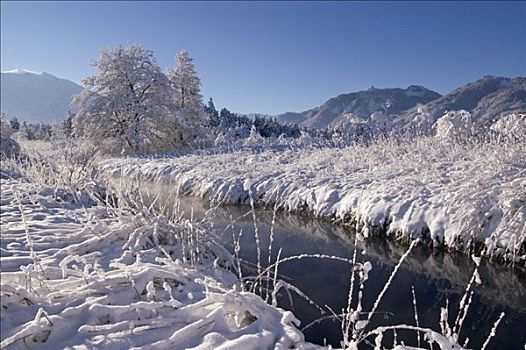 积雪,冬季风景,荒野,上巴伐利亚,德国