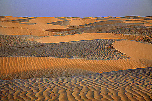 非洲,南,突尼斯,沙丘,沙漠,靠近,杜兹