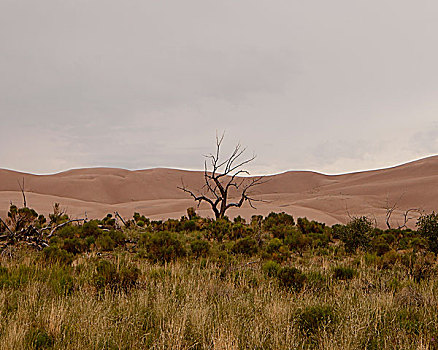 沙丘,国家公园,科罗拉多,美国