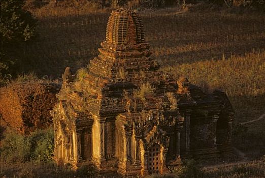 缅甸,异教,塔