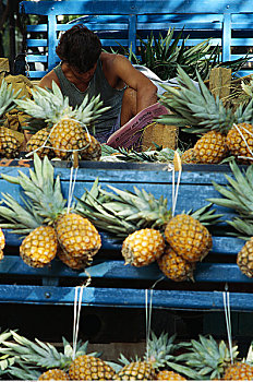 男人,销售,菠萝,里约热内卢,巴西