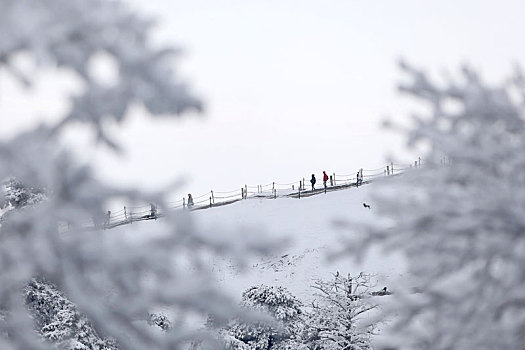 雪后华山宛如画