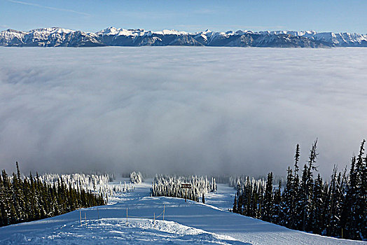 加拿大,落矶山,不列颠哥伦比亚省,金色,踢,马,山,胜地,滑雪胜地,山景,雾气