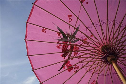 粉色,伞