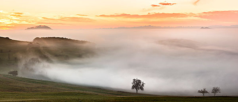 雾状,风景,巴登符腾堡,德国,欧洲