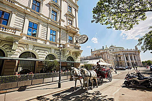 马车,马,户外,咖啡馆,维也纳
