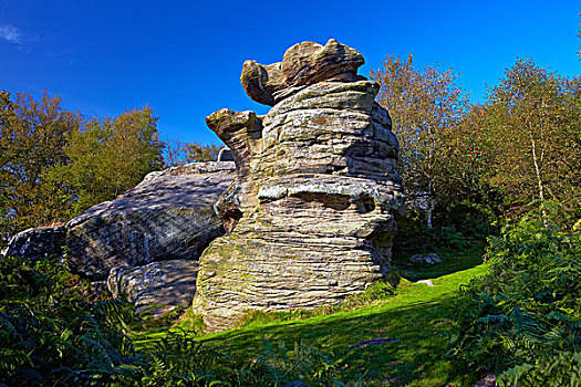 英格兰,北约克郡,石头,跳舞,熊,岩石构造,一个,许多,奇怪,形状,侵蚀,砂砾,荒野