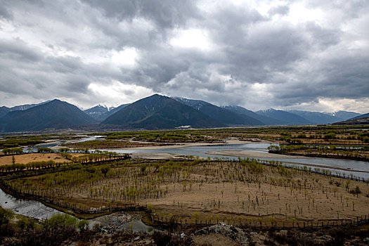 雅尼湿地