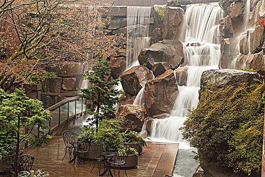 瀑布,花园,公园,西雅图,美国