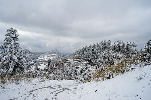 重庆酉阳,又见瑞雪兆丰年