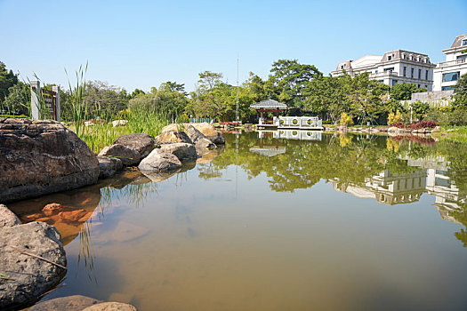 广州生物岛冬天现代化的写字楼和研究基地及宽阔的马路与绿化