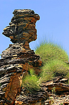 岩石构造,草,隐形谷,国家,公园,金伯利,西北地区,澳大利亚
