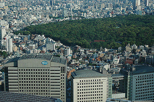 俯瞰日本东京