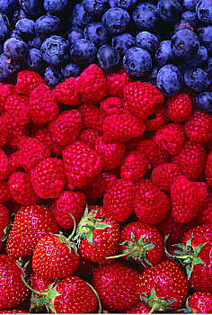 蓝莓,树莓,草莓