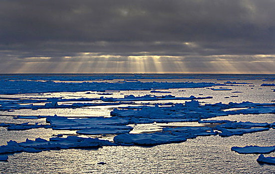浮冰,南大洋,英里,北方,东方,南极