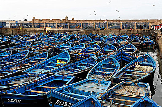 特色,蓝色,渔船,苏维拉,摩洛哥,非洲