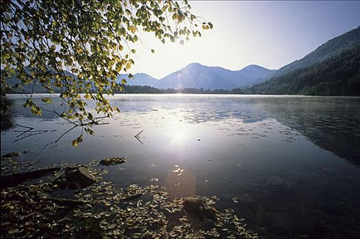 泰根湖,湖,上巴伐利亚,德国