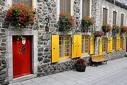 红色,门,黄色,窗户,魁北克,魁北克省,加拿大,北美