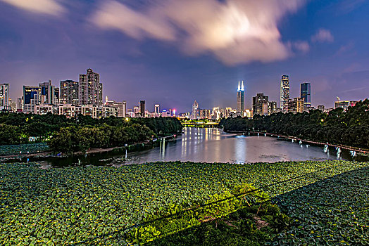 深圳洪湖公园夜景城市风光