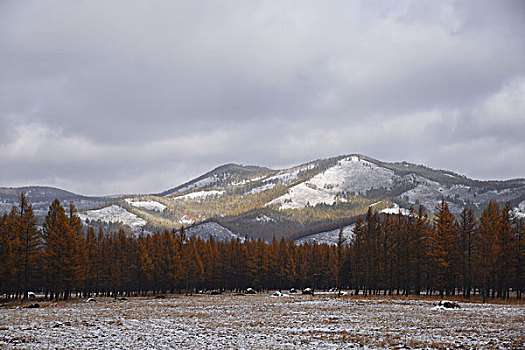 阿尔山雪景