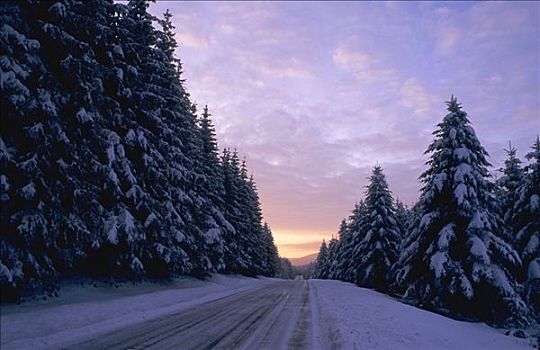 法国,奥弗涅,乡村,道路