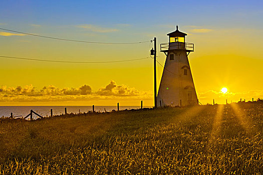 灯塔,海岸,特莱恩海角,亮光,爱德华王子岛,加拿大