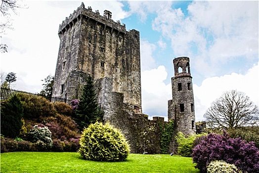爱尔兰,城堡,布拉尼城堡,著名,石头