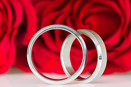 两个,银,戒指,红玫瑰
