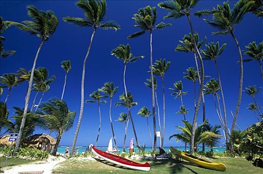 棕榈海滩,干盐湖,蓬塔卡纳,多米尼加共和国,加勒比海