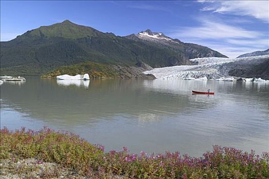 独木舟浆手,湖,夏天,冰河,背景