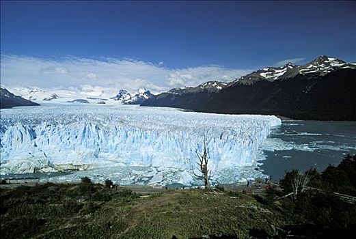 莫雷诺冰川,洛斯格拉希亚雷斯,国家公园,阿根廷