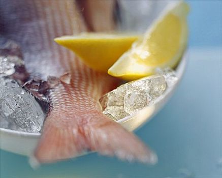 红鲷鱼,柠檬角,冰