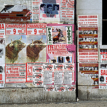 葡萄牙,斗牛,海报