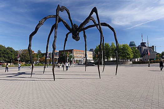 巨大,蜘蛛,雕塑,渥太华,安大略省,省,加拿大,北美